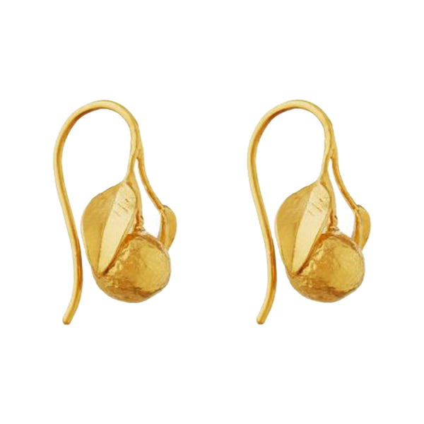 The Orange hook earrings in gold colour from the brand ALEX MONROE