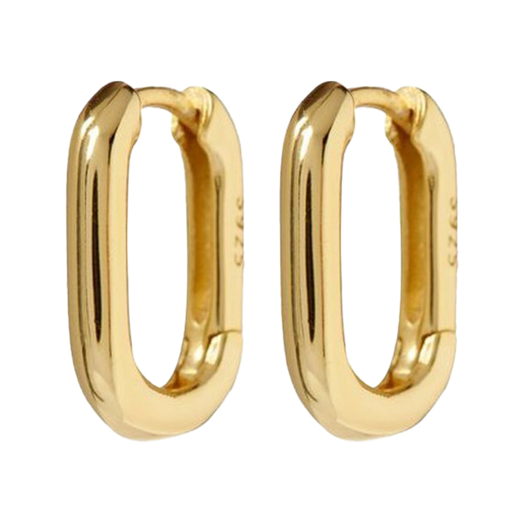 The chain link huggie earrings in gold colour from the brand LUV AJ