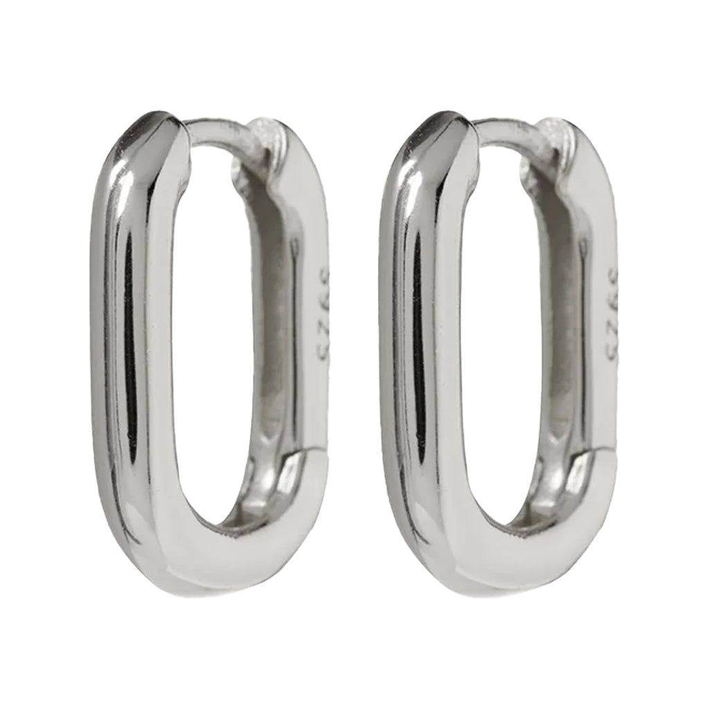 The chain link huggie earrings in silver colour from the brand LUV AJ