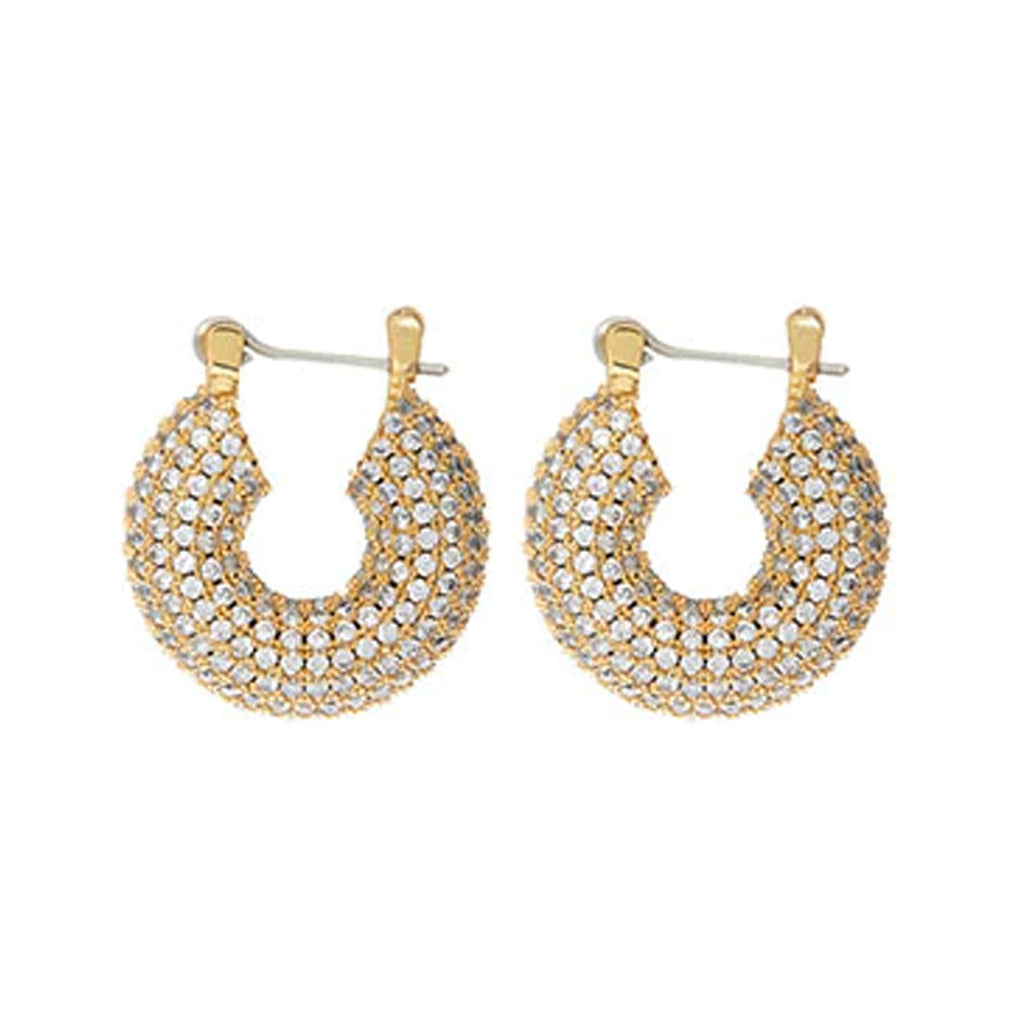 The pave mini donut hoop earrings in gold colour from the brand LUV AJ